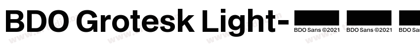BDO Grotesk Light字体转换